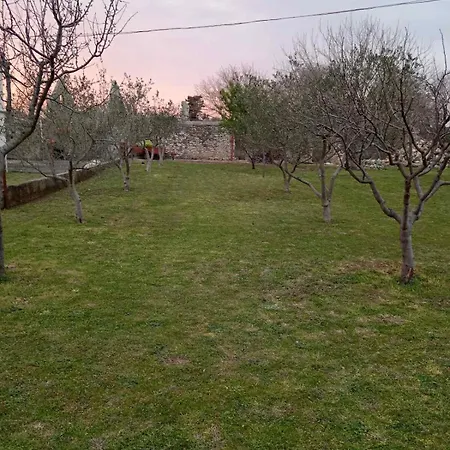 Hotel Oliveric